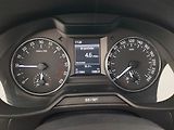 Škoda Octavia (2013) Elegance 1.6 TDI, Serv.kniha - náhled 11