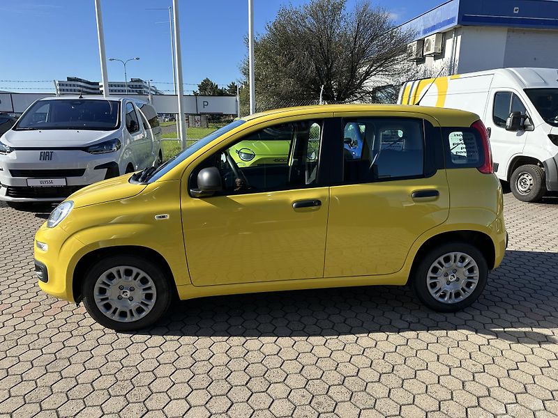 Fiat Panda (2026) Pop 1.0 BSG Hybrid 65k MT6 - fotka 4 z 18