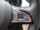 Škoda Octavia (2013) 1.4 TSi, Elegance, DSG, bixen - náhled 13