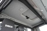 Iveco Trakker (2014) 310 / EEV / 4 X 4 / SKRZYNIOWY - náhled 17