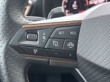 Cupra Formentor (2024) 2.0 TSI 4Drive DSG - náhled 19