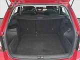 Škoda Fabia (2021) 1.0 TSI, ČR,1.maj, Tempomat - náhled 13