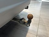 Ford Kuga Titanium 1.5 EcoBoost 150k man - náhled 26