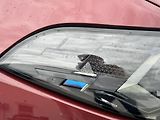 BMW X6 xDrive40d - náhled 13