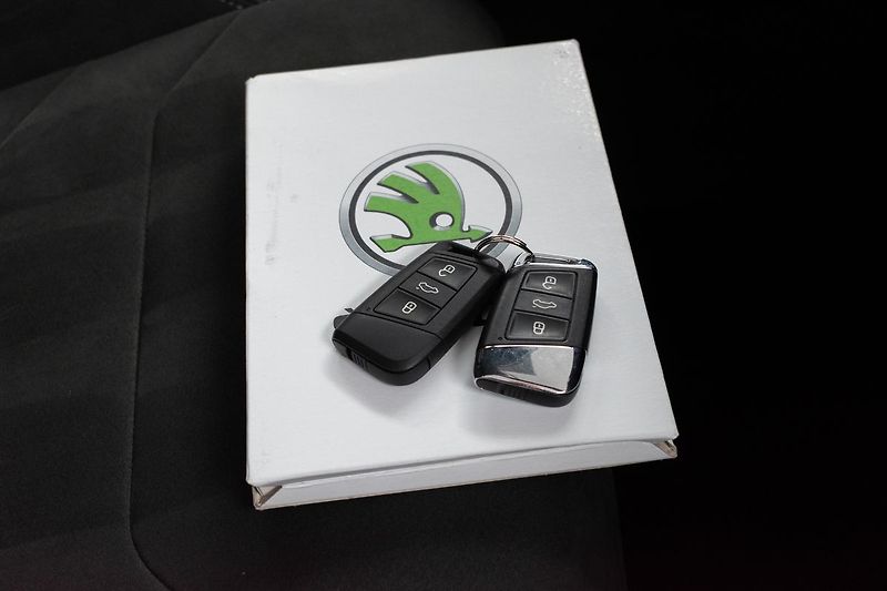 Škoda Kodiaq 2.0 TDI 4x4*STYLE+*TAŽNÉ*ČR 1M - fotka 39 z 49
