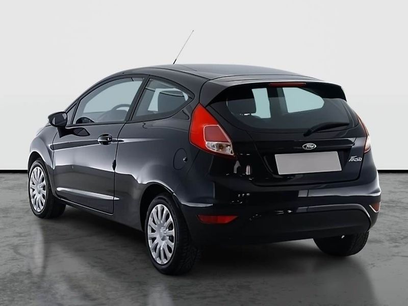 Ford Fiesta (2015) 1.25 - fotka 4 z 15