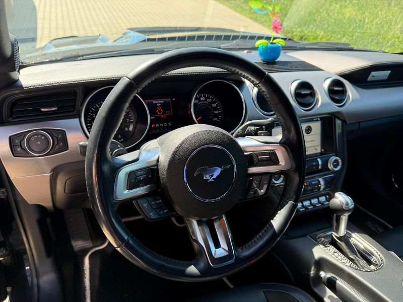 Ford Mustang (2018) GT5.0 AT FACELIFT SHELBY paket - fotka 7 z 14