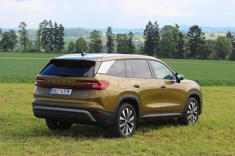 Nový Kodiaq bude často vozit rodiny na výlety