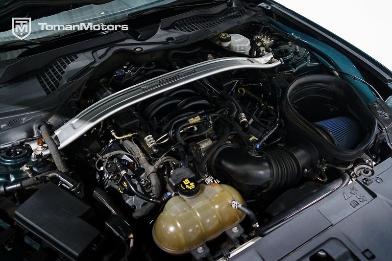 Ford Mustang (2019) Bullitt, Man, RECARO, DPH odpo - fotka 23 z 23