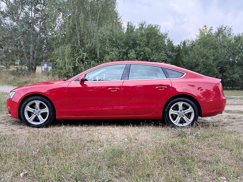 Audi A5 (2014) 2.0 TDI 130kW quattro S line - fotka 3 z 26