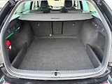 Škoda Octavia (2023) 2.0 TDI 110kW Style Extra - náhled 32