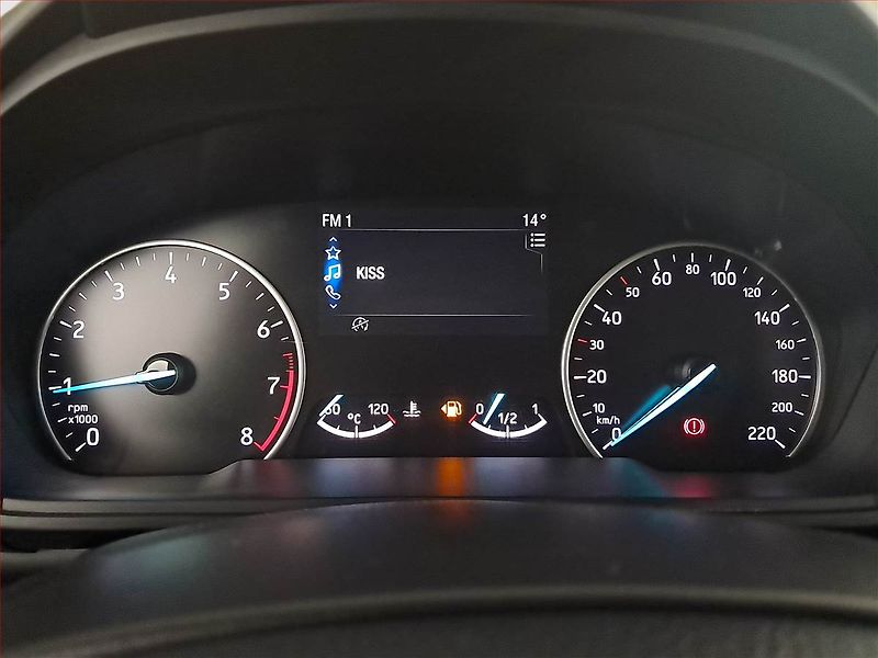 Ford EcoSport (2018) 1.0 EcoBoost, Serv.kniha, Kůže - fotka 16 z 16