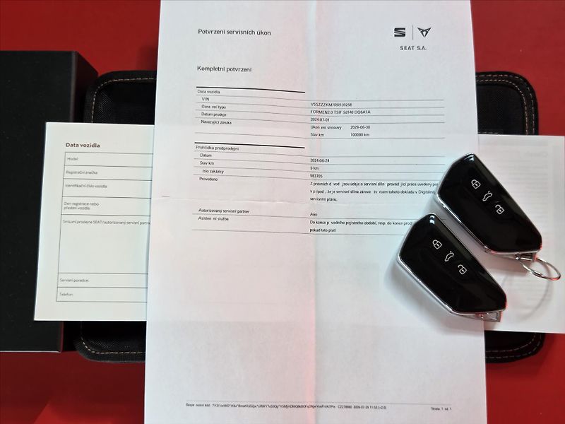 Cupra Formentor 2,0 TSi DSG 4x4 Záruka2029 ČR - fotka 7 z 22