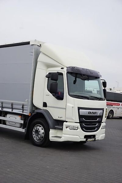 DAF LF (2019) 290 / E 6 / FIRANKA + WINDA /  - fotka 27 z 44