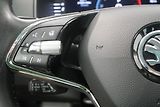 Škoda Karoq - náhled 15