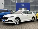 Škoda Octavia 2,0 TDI 85kW Style - náhled 1