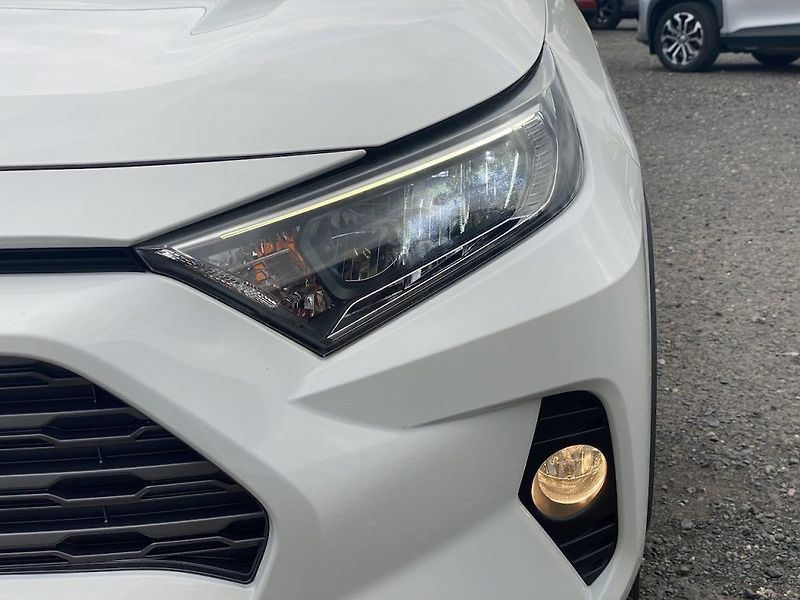 Toyota RAV4 2.5HSD, ČR, ComStyle, 4x4 - fotka 8 z 15