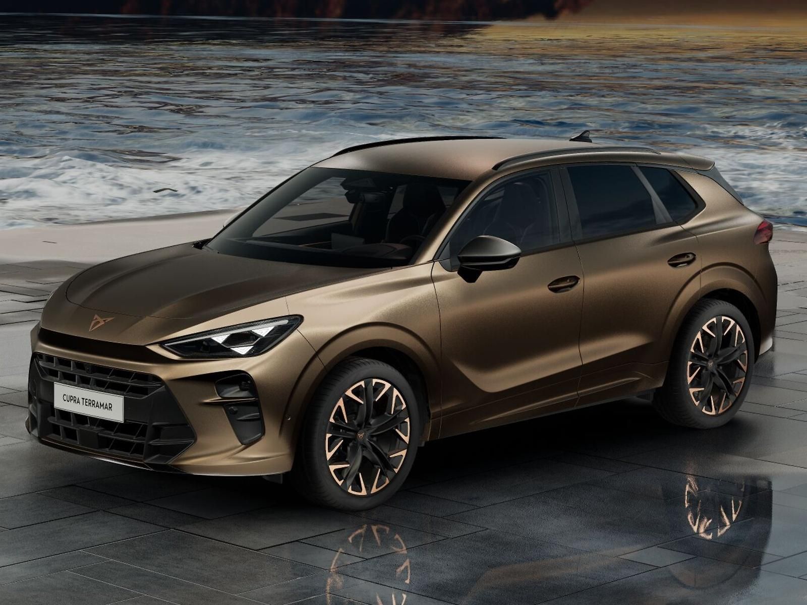 Cupra Terramar 2.0 TSI 204k DSG 4WD