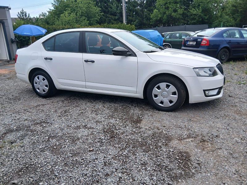 Škoda Octavia 1.6 TDI, bez koroze - fotka 7 z 39