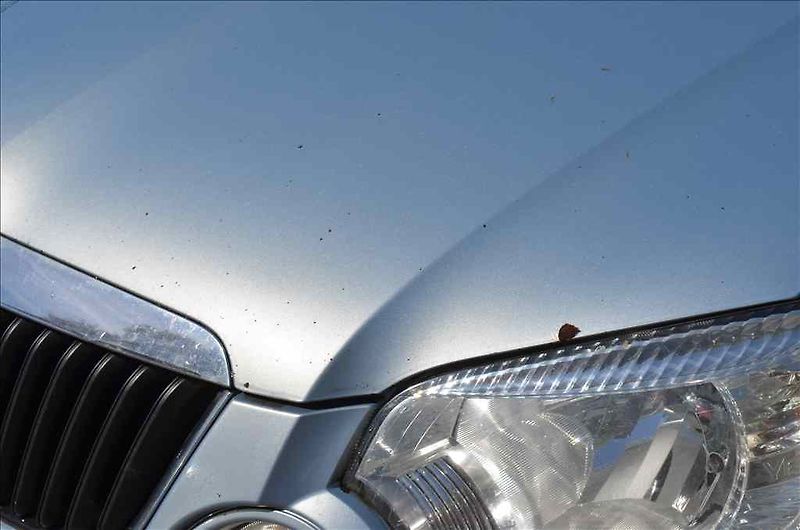Škoda Yeti (2010) 2,0 TDI - fotka 11 z 29