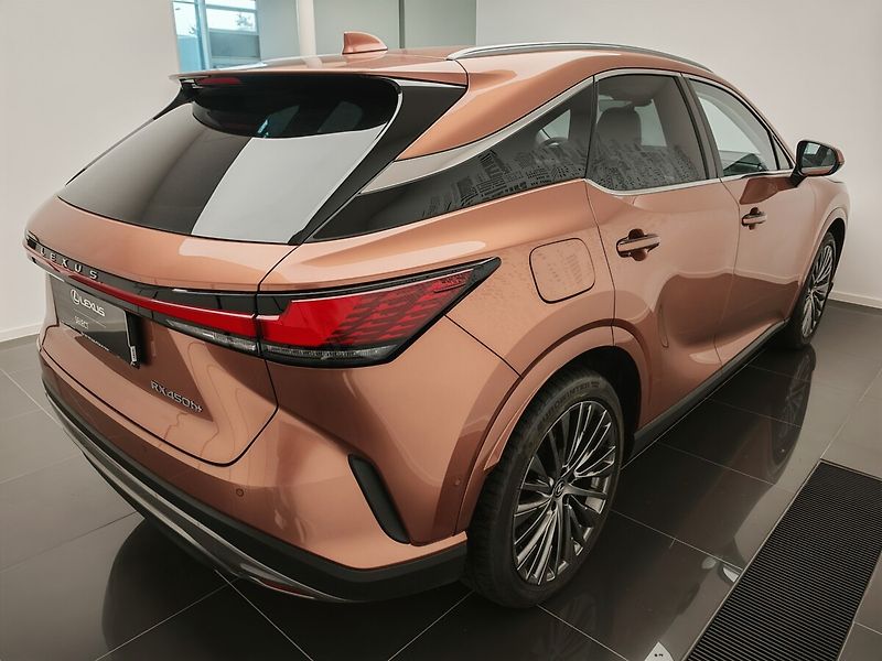 Lexus RX 450h plus RX 450h+ Luxury - fotka 4 z 50