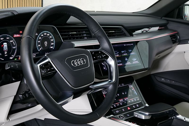 Audi e-tron 55 300kW Ventilace Matrix 360 - fotka 18 z 48