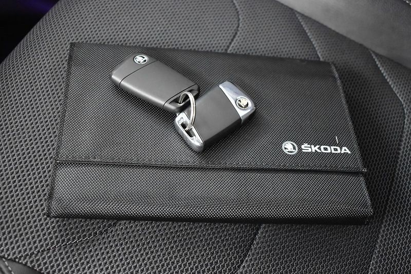 Škoda Kodiaq 2.0 TDI DSG*4X4*7.MÍST*ACC*DPH - fotka 37 z 46