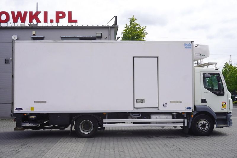 DAF LF (2015) 220 / Carrier Supra 1150 MT - fotka 2 z 21