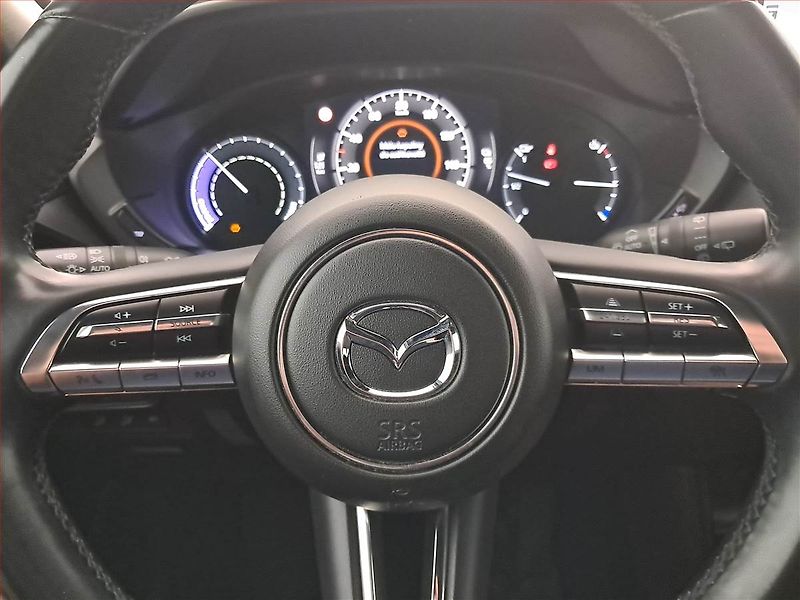 Mazda MX-30 (2020) e-Skyactiv, SoH 91%, Automat - fotka 18 z 18