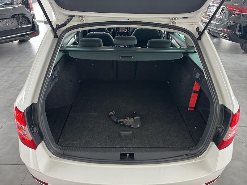 Škoda Octavia (2020) 2,0TDi DSG 4x4 NAVIGACE TAŽNÉ - fotka 18 z 26
