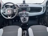 Fiat Panda (2021) 0.9 Twinair CNG, STK4/28 - náhled 8