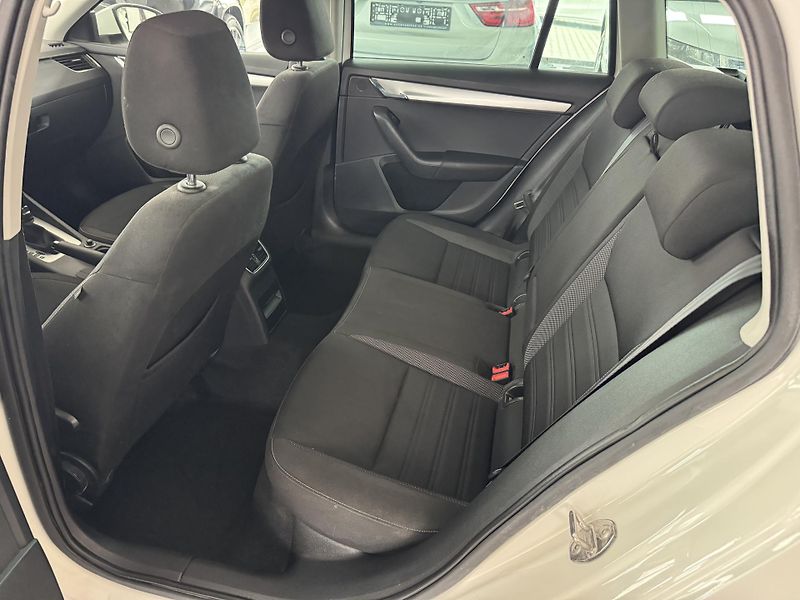 Škoda Octavia (2020) 2,0TDi DSG 4x4 NAVIGACE TAŽNÉ - fotka 16 z 26