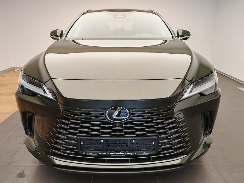 Lexus RX 450h+ Plug-in Hybrid EXECUTIVE - fotka 6 z 17