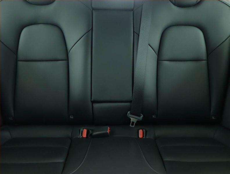 Tesla Model 3 (2020) Std Range Plus 52kWh, SoH 85% - fotka 10 z 23