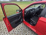 Škoda Fabia (2021) 1.0 TSI 70 kW, 125 let, CZ,DPH - náhled 9
