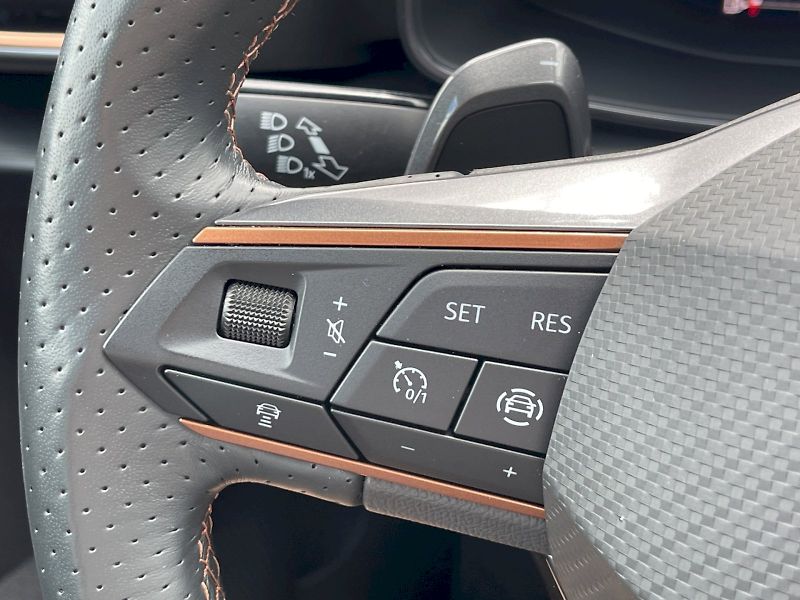 Cupra Formentor (2024) 2.0 TDI 110 kW DSG 4Drive Basi - fotka 8 z 35