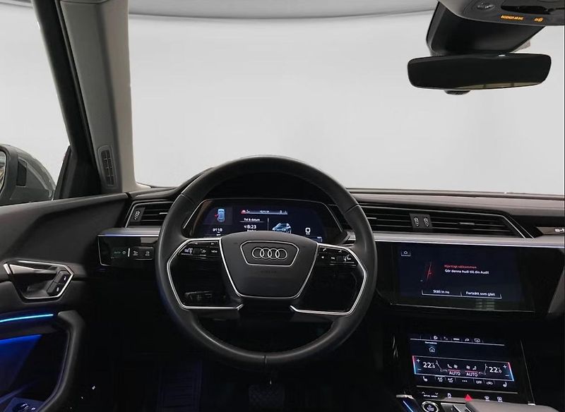 Audi Q8 e-tron 55 Q 360k Matrix Panorama - fotka 6 z 15