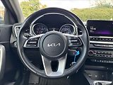 Kia Ceed 1,5 TGDi 118kW TOP ZÁRUKA - náhled 16