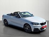 BMW Řada 2 2,0 220d cabrio Mpaket ČR - náhled 1