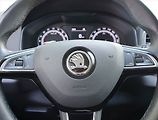 Škoda Karoq (2020) 1.6 TDI - náhled 16