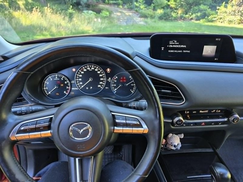 Mazda CX-30 (2019) - fotka 12 z 24