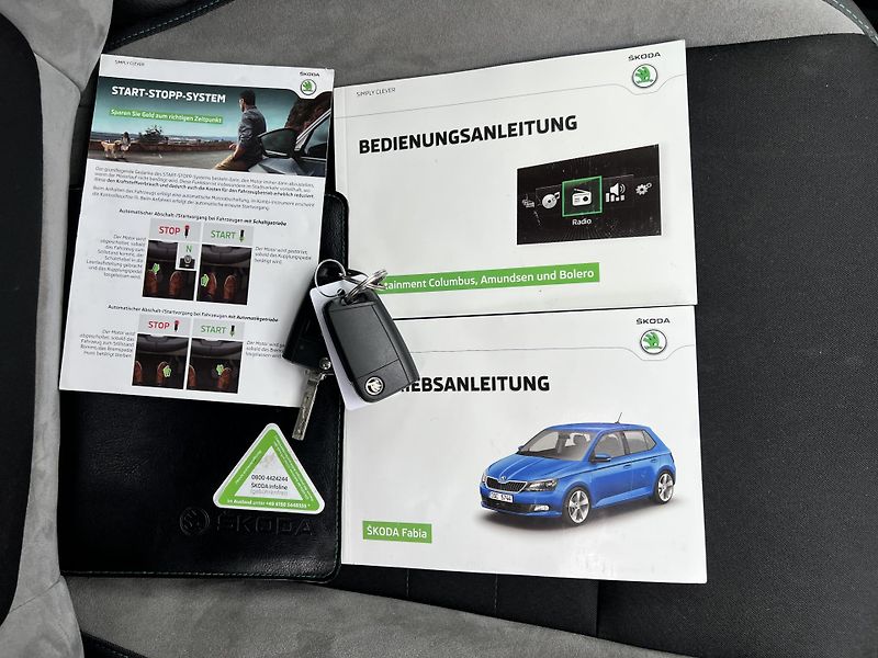 Škoda Fabia JOY 1.0MPi 55kw KLIMA NAVI ALU - fotka 41 z 47
