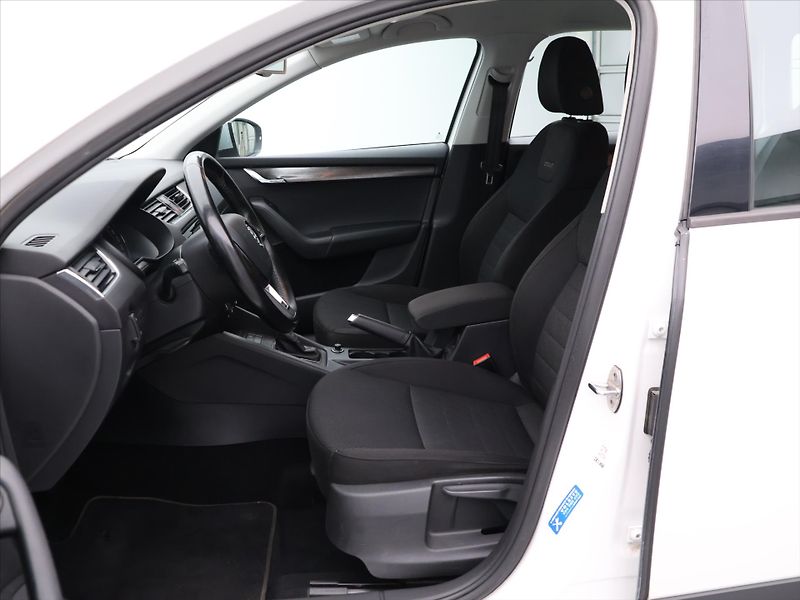 Škoda Octavia 2,0 TDI 135kW 4x4 DSG CZ Scout - fotka 10 z 28