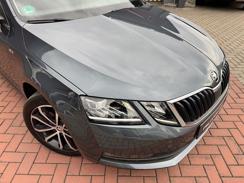 Škoda Octavia (2020) 2.0TDi DSG LED Navi Kamera - fotka 37 z 46