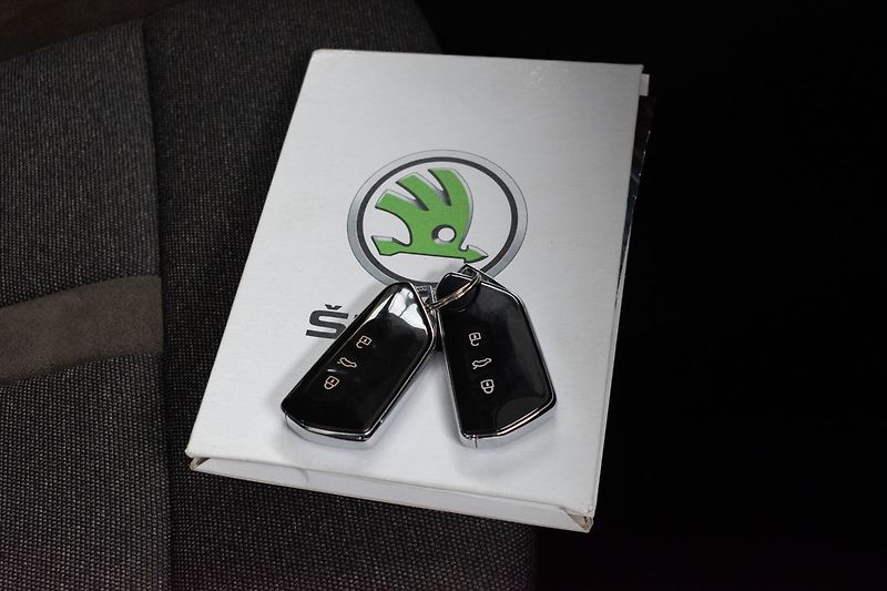 Škoda Octavia SCOUT TDI 147kW 4x4*TAŽNÉ*ČR1 - fotka 34 z 43