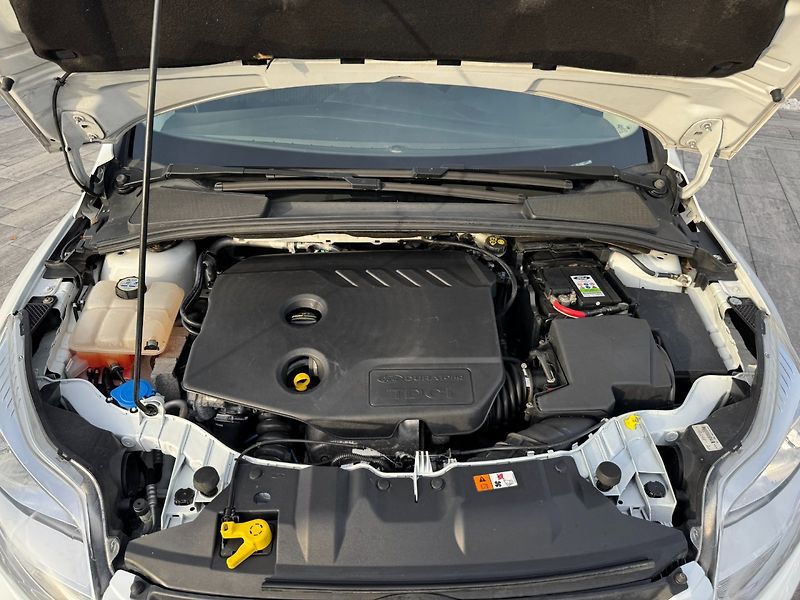 Ford Focus (2013) Trend 1.6 TDCi - fotka 29 z 29