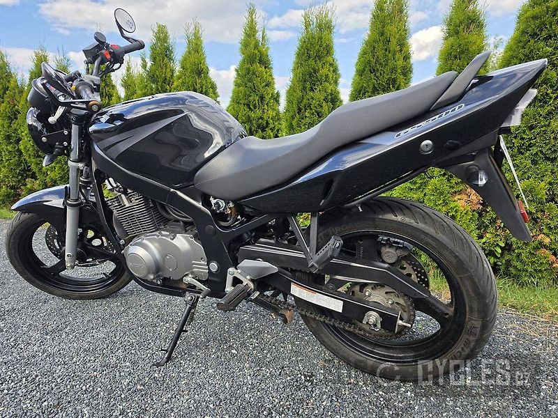 Suzuki GS 500 (2004) - fotka 12 z 15