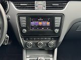 Škoda Octavia (2014) Elegance 1.6 TDI 4x4 77kW - náhled 19