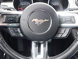 Ford Mustang (2016) 2.3 EcoBoost - náhled 17