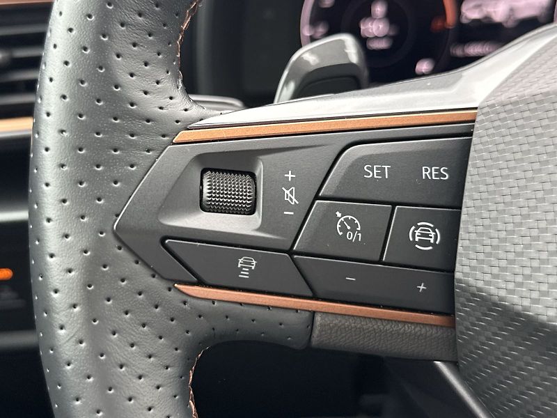 Cupra Formentor (2024) 1.5 TSI DSG - fotka 18 z 33
